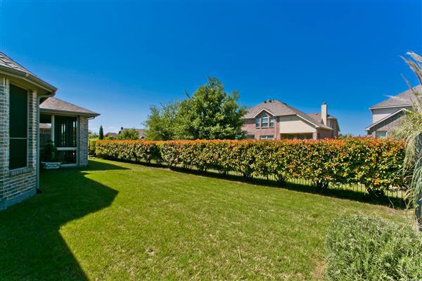    Large Landscaped Backyard 