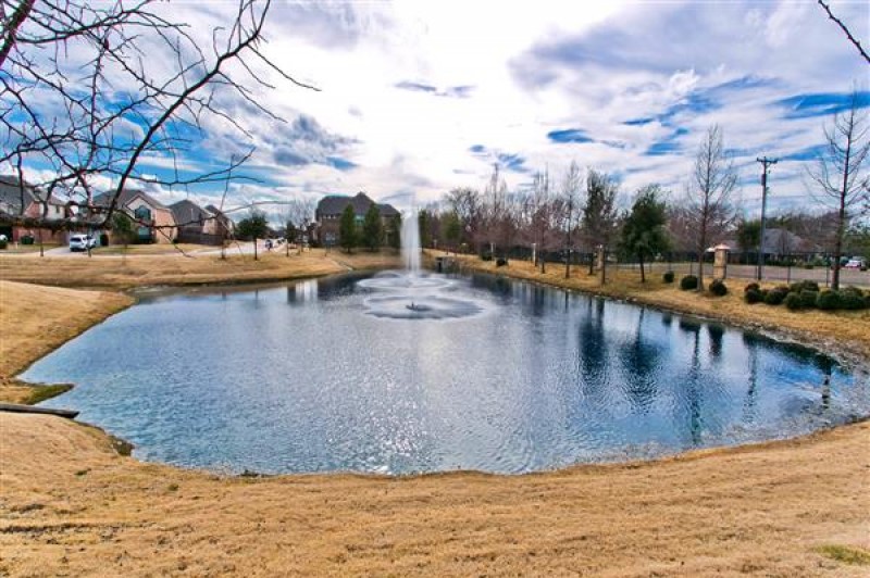    Pond with Fountain Water Feature 