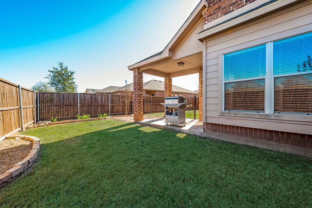    Grassy Backyard 