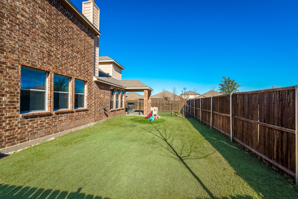    Grassy Backyard 