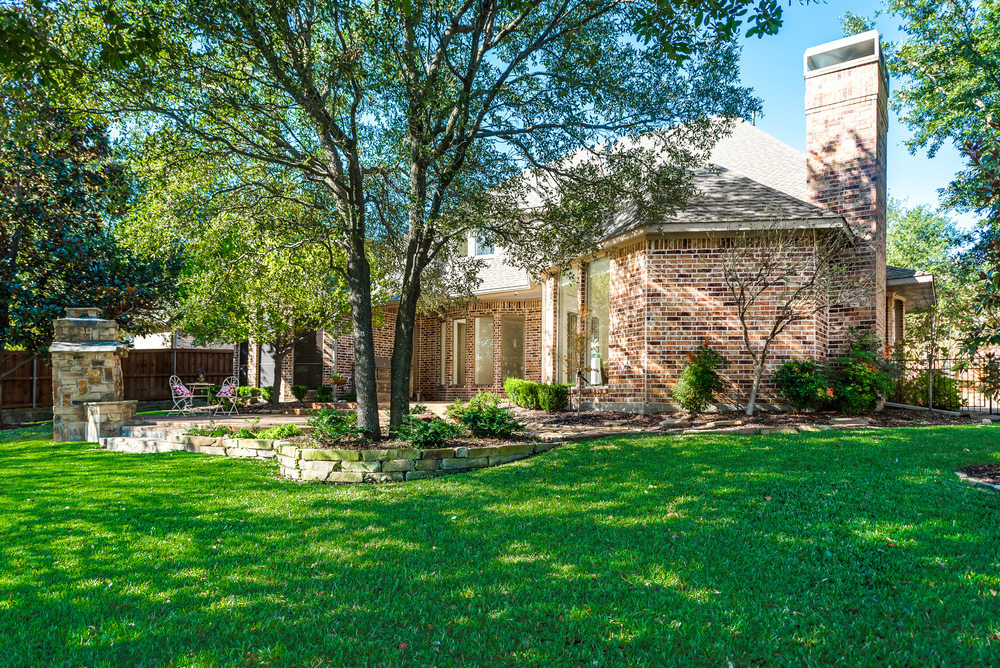    Relaxing Backyard 