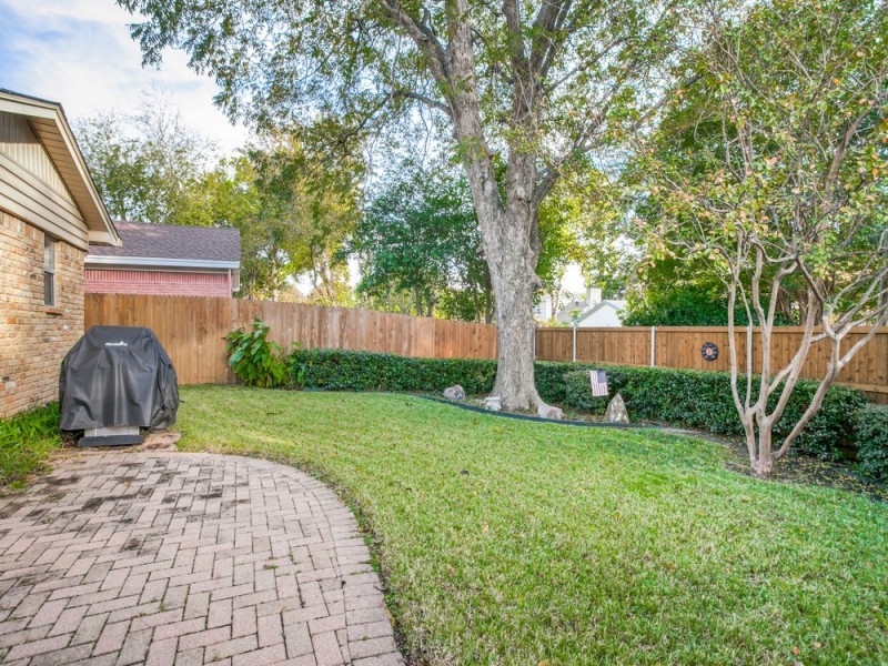      Grassy Backyard with Mature Tree 