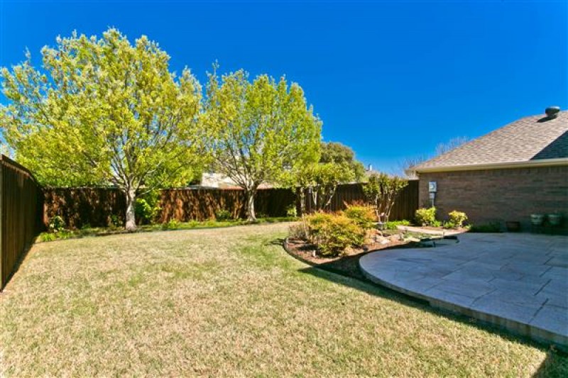    Grassy Backyard 