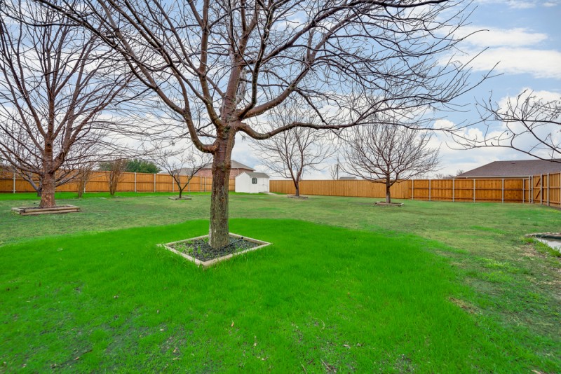    Large Grassy Backyard with Mature Trees 