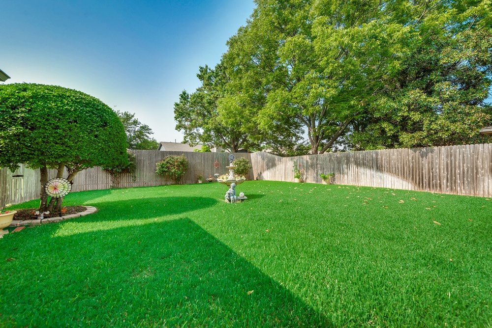    Grassy Backyard 