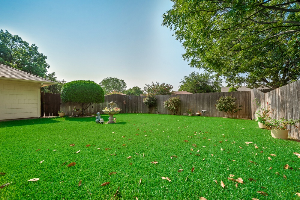    Grassy Backyard 