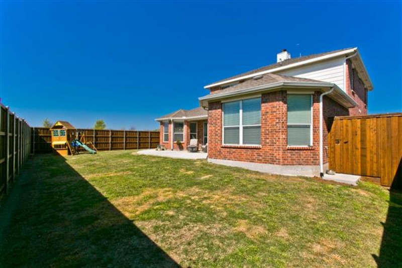    Grassy Yard 