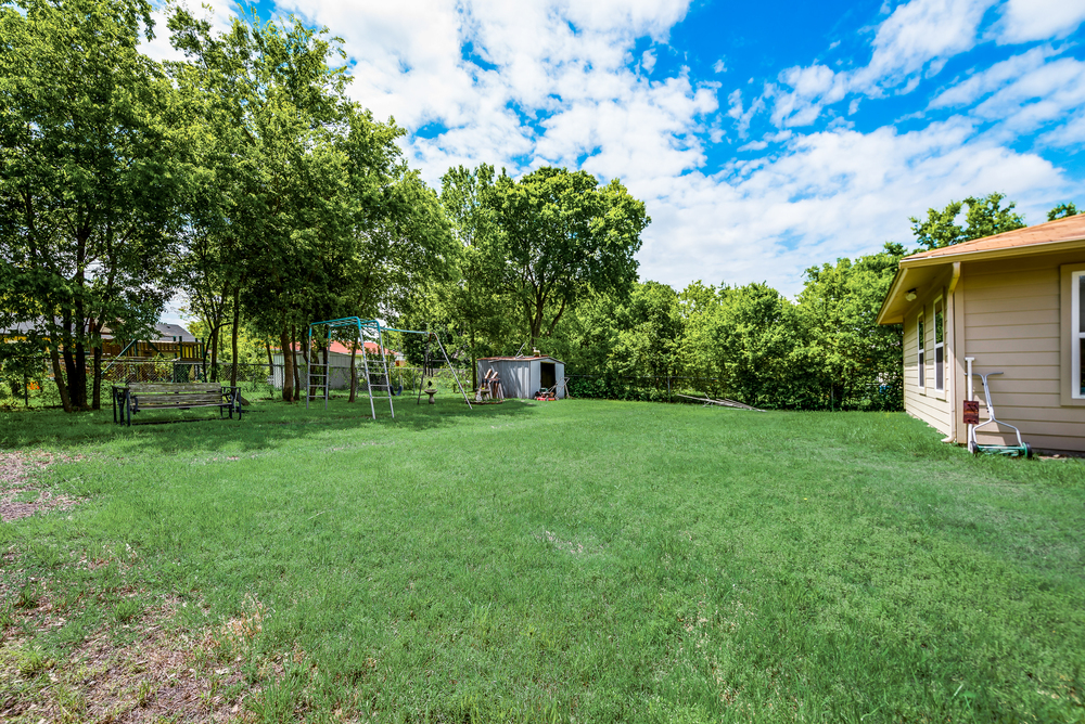    Sprawling Grassy Backyard 