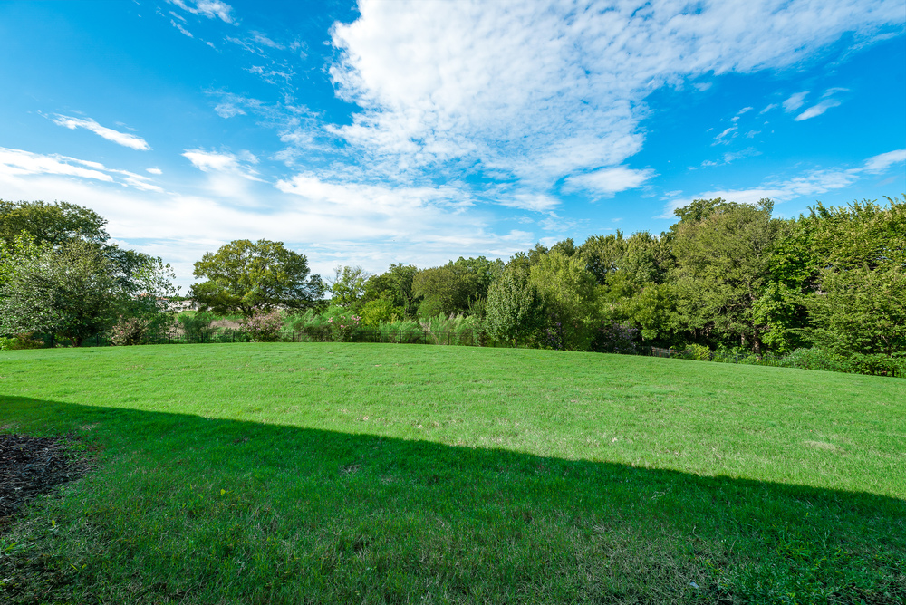    Sprawling Back Yard 