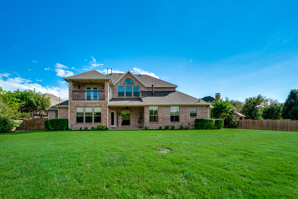    Sprawling Back Yard 