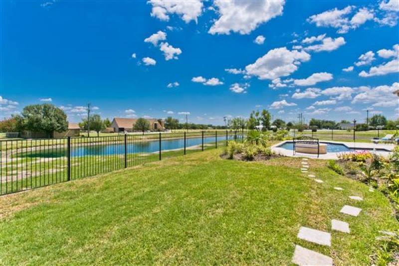    View of Pond 