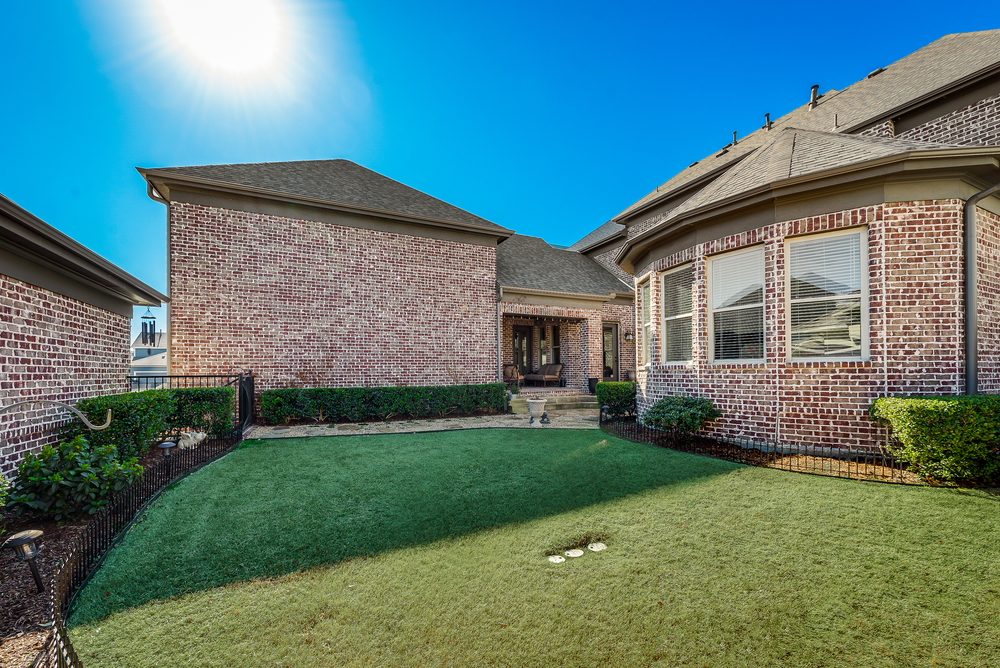    Grassy Backyard 