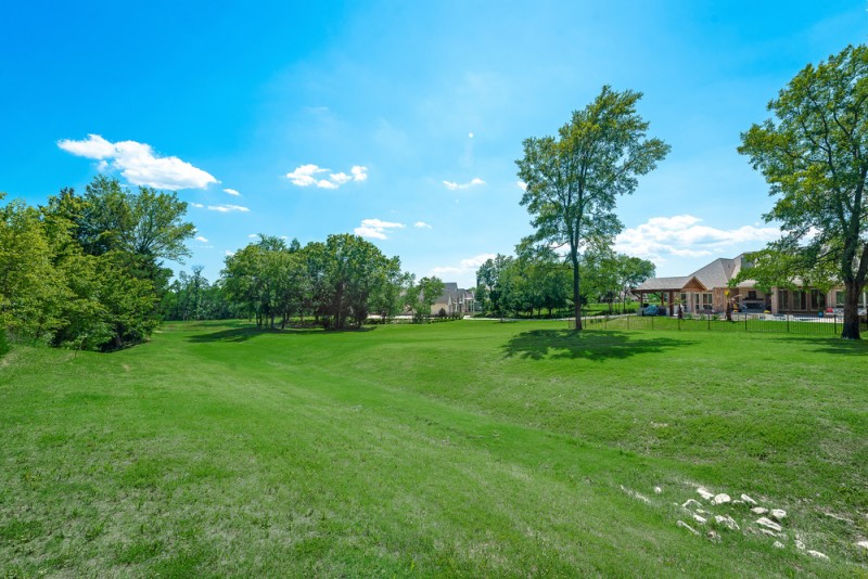    Sprawing Grassy Backyard Greenspace 