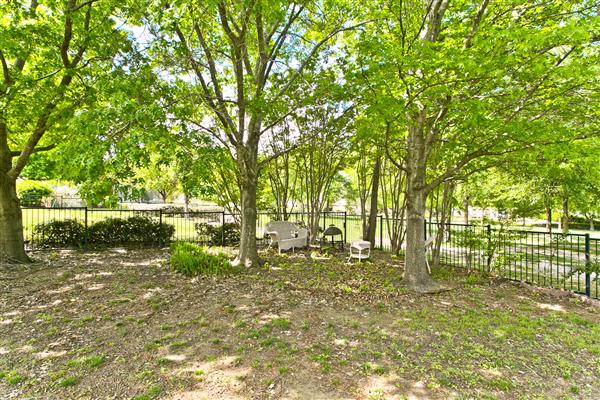    Sitting area amongst Mature Trees 