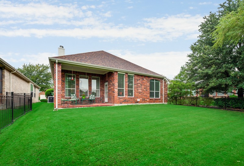    Grassy Backyard 