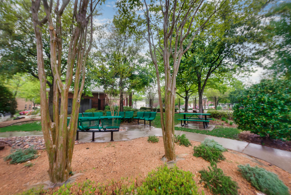    Community Pool Area 