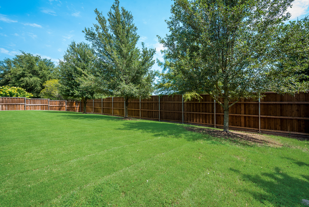    Grassy Backyard 