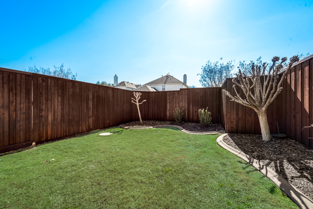    Grassy  Landscaped Backyard 