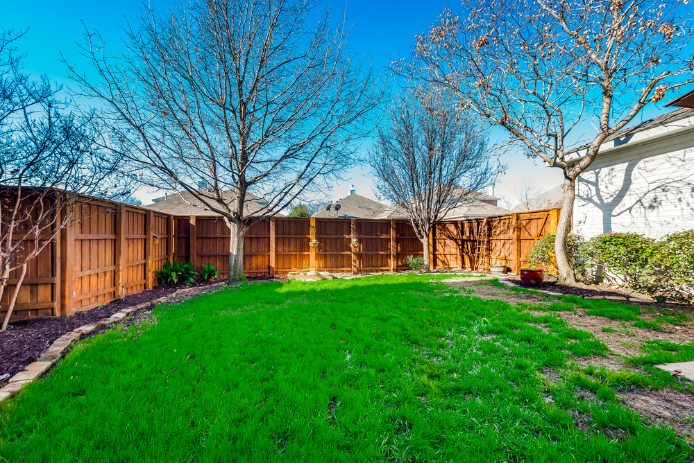    Grassy Backyard with Landscaping 