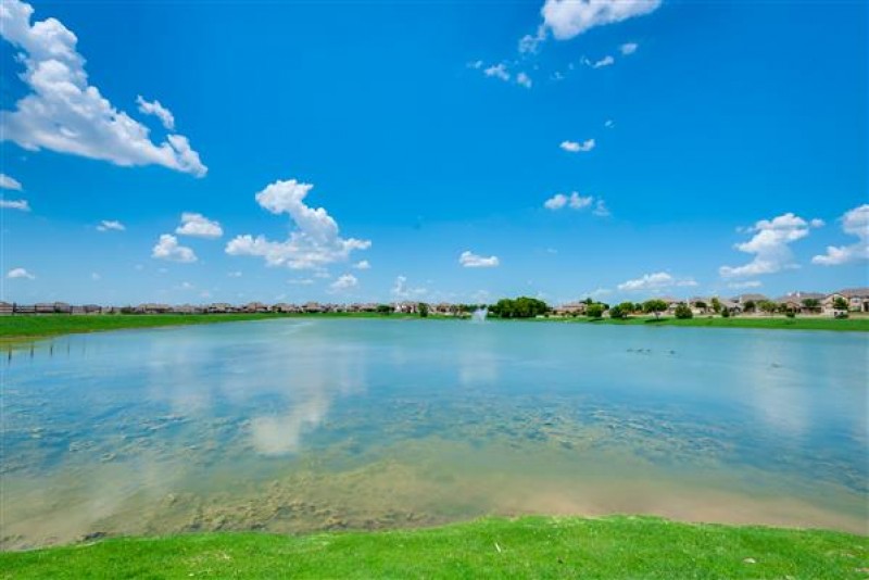       Acre Pond across the Street 