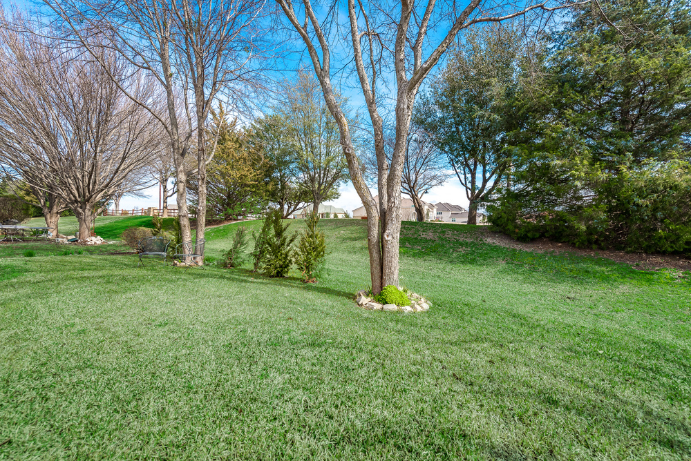    Open Backyard with Mature Trees 