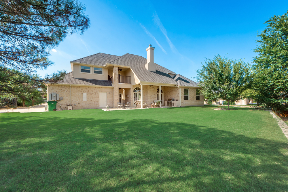    Grassy Yard 