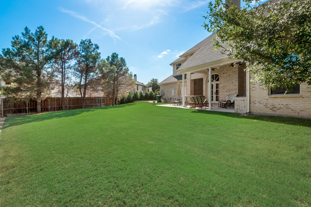    Grassy Yard 