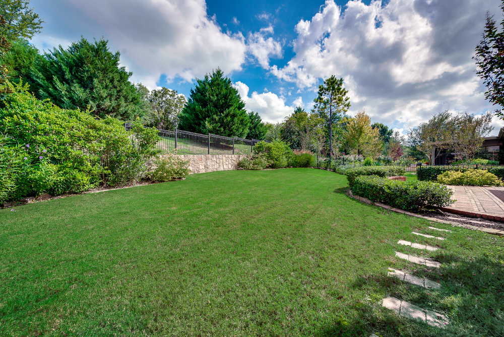    Large Grassy Back Yard 