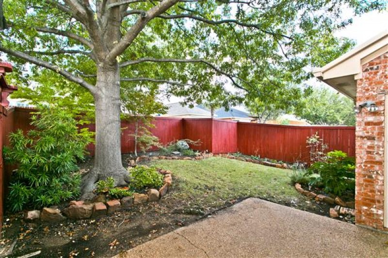    Patio and Backyard 