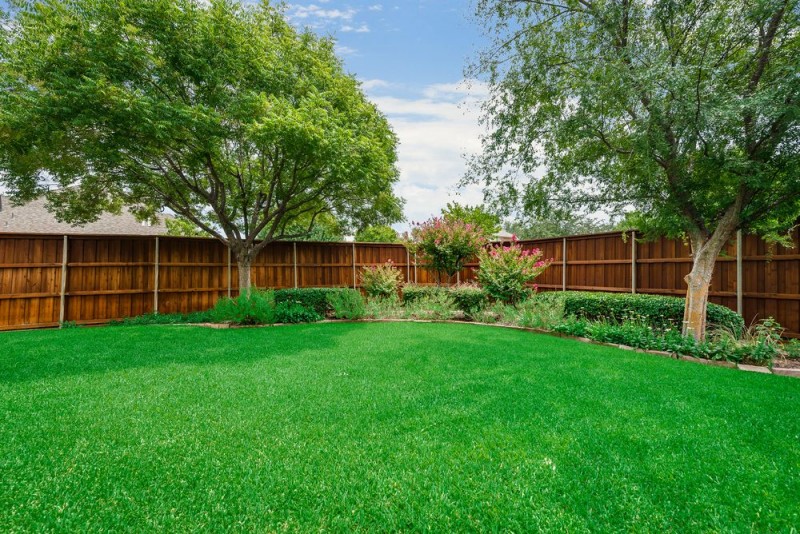    Grassy Backyard 