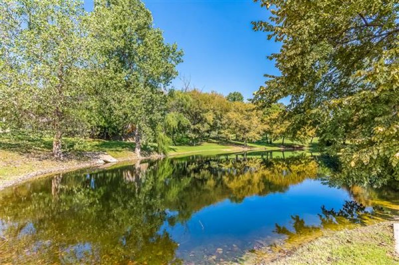    Neighborhood Pond 