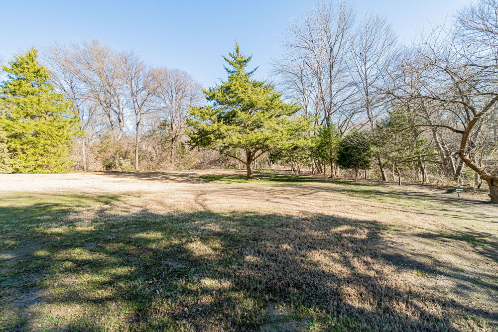    Sprawling Grassy Area Surrounded by Mature Trees 