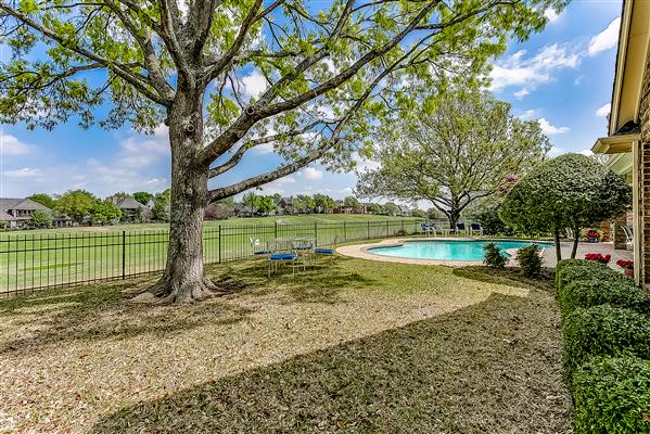    Landscaped Yard 