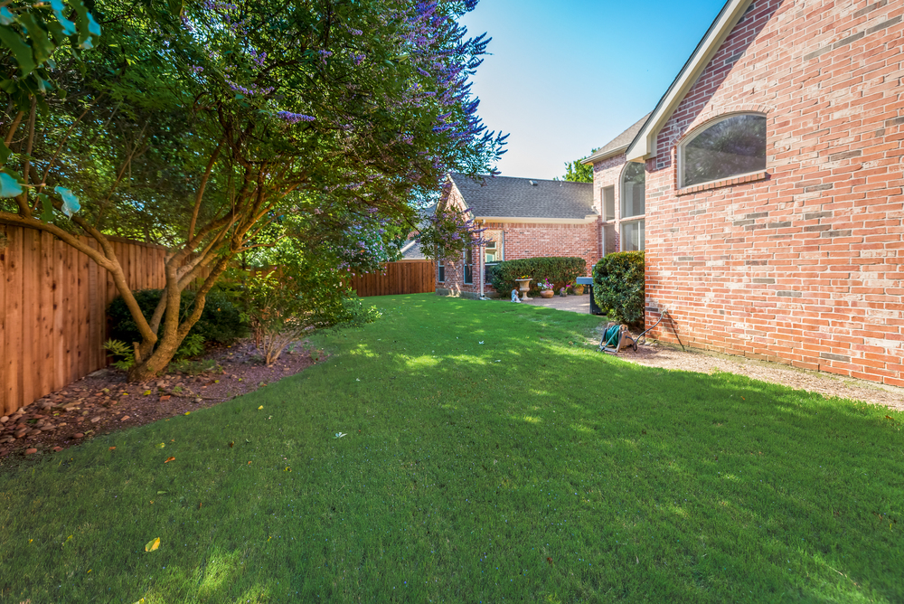    Grassy Backyard 