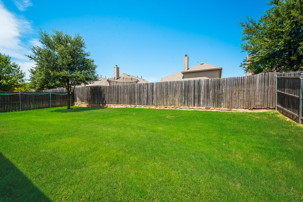    Sprawling Grassy Yard 