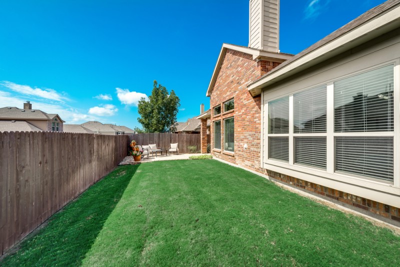    Grassy Backyard 