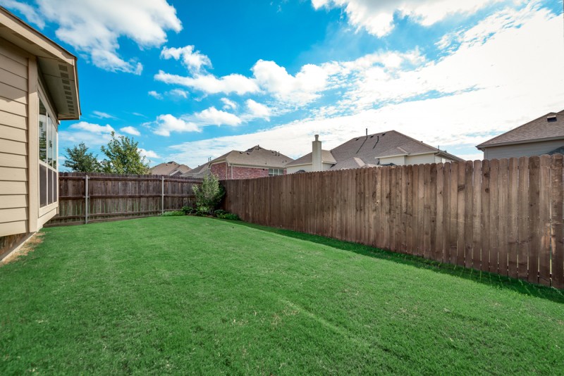    Grassy Backyard 