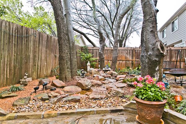     Rock Garden and Water Feature 