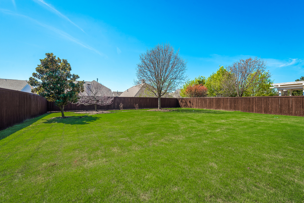    Sprawling Grassy Backyard 