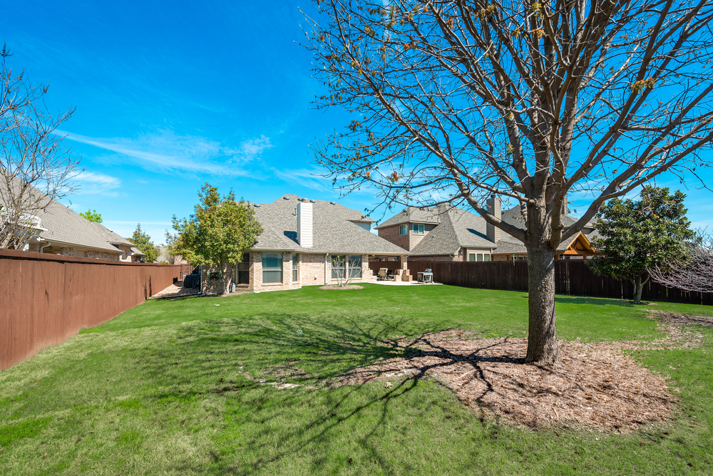    Sprawling Grassy Backyard 