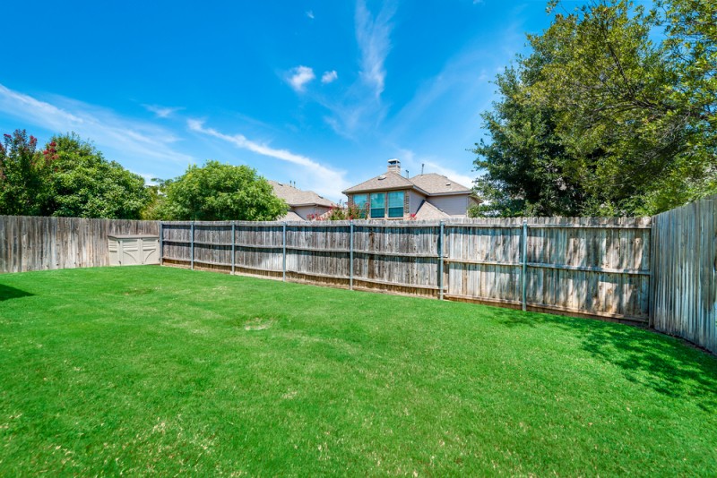    Grassy Backyard 