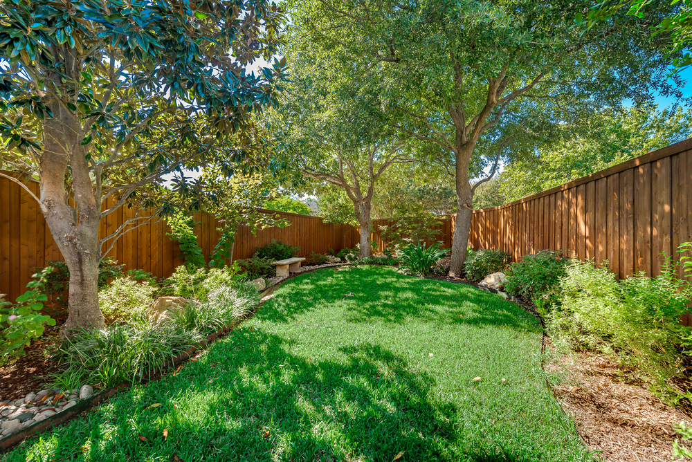    Serene Back Yard 