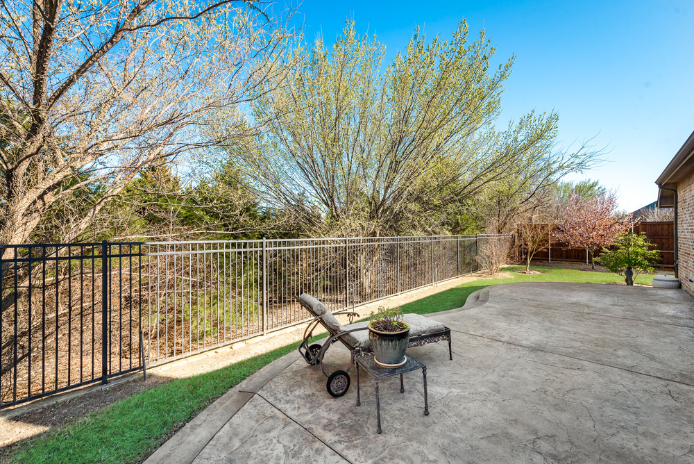    Gorgeous Backyard 