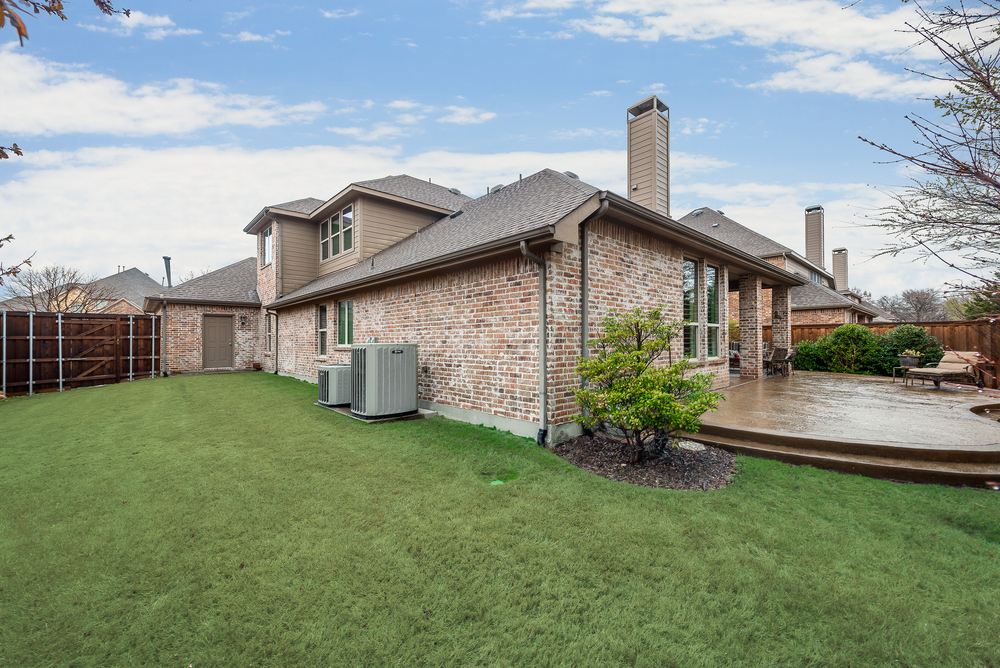    Grassy Backyard 