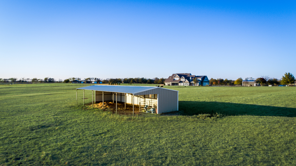    Cattle Loafing Shed 