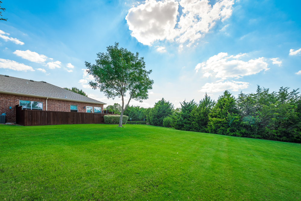    Home Overlooks Greenbelt 