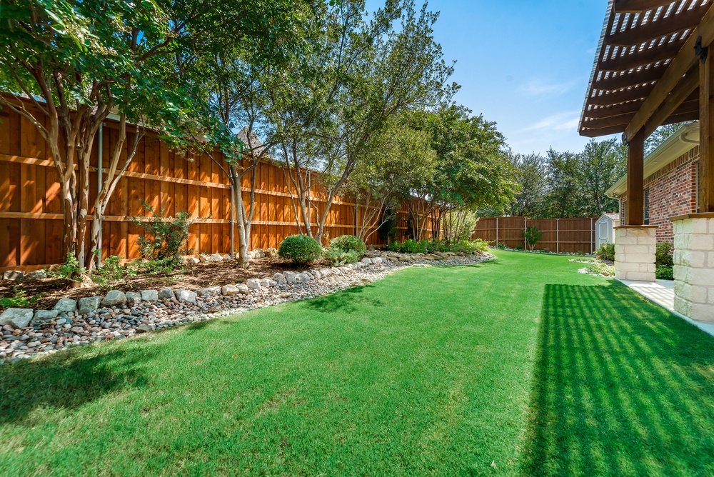    Grassy Backyard 