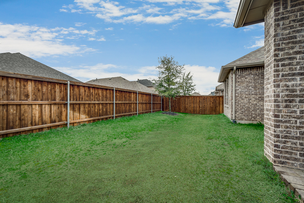    Grassy Backyard 