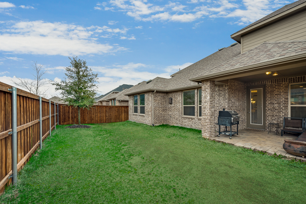    Grassy Backyard 