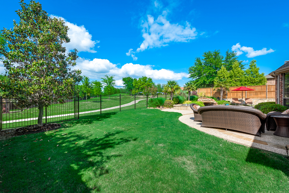    Serene Backyard 